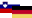 Slovenian-German