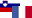 Slovenian-French